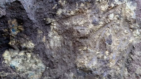 Công ty Hàn Quốc đầu tư 19 triệu USD vào đất hiếm tại Việt Nam