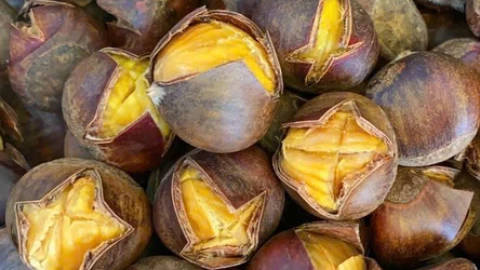 Cách chọn mua hạt dẻ ngọt, bùi, không sượng