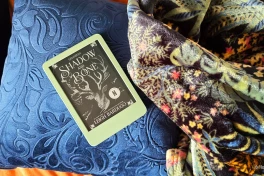 Máy đọc sách Kindle có cần miếng dán bảo vệ màn hình không?