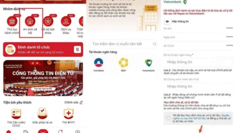 Hướng dẫn chi tiết cách nhận 400.000 đồng tiền an sinh xã hội dịp Tết Nguyên đán qua VNeID