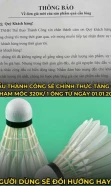 Cầu lông tăng giá lên 320.000VND/ống