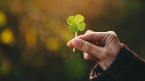 Tháng 1/2026, may mắn tiền bạc của 12 con giáp biến động ra sao?