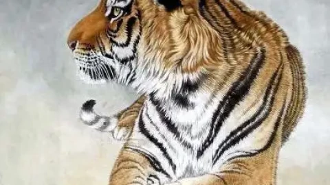 4 con giáp đầu óc nhạy bén, tháng Giêng 2026 không lo thiếu tiền, sớm gây dựng được sự nghiệp riêng