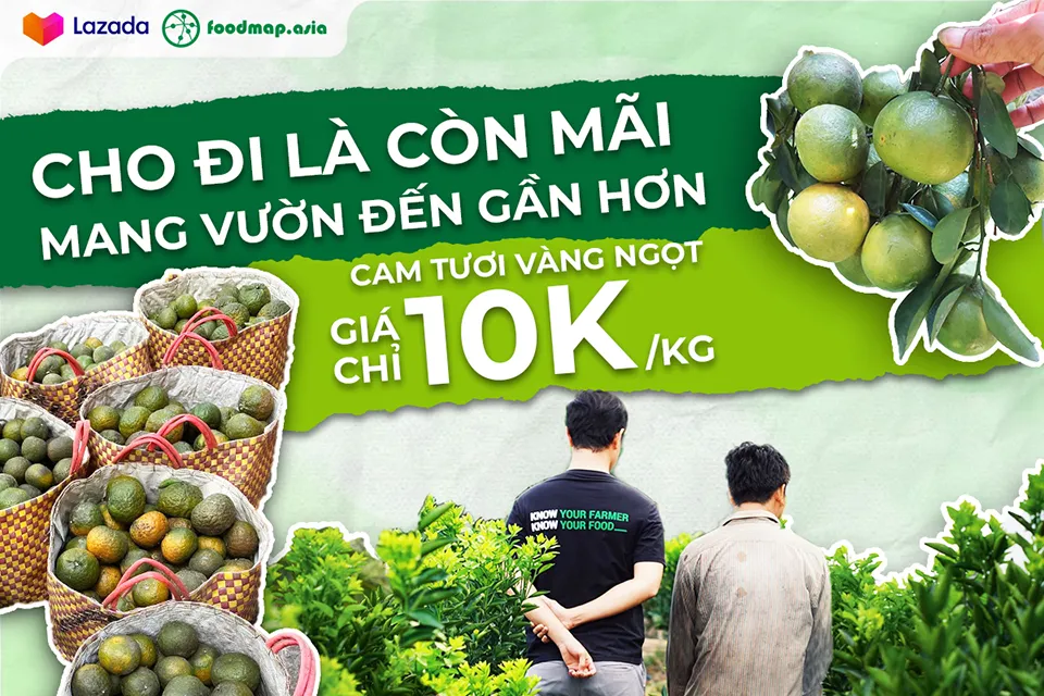 Lazada tham gia giải cứu cam sành miền Tây, bán giá 10.000 đồng/kg