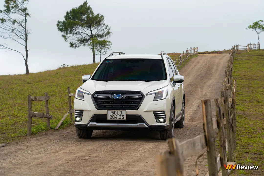 Trải nghiệm Subaru Forester 2023: Khi công nghệ an toàn lên ngôi