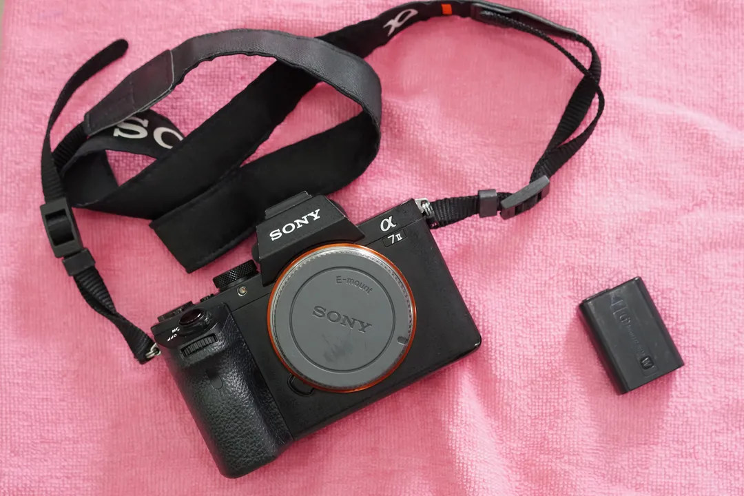 Cách Sony “đánh úp” Canon và Nikon: vận dụng binh pháp từ “giả si bất điên” cho tới “giương đông kích tây” 
