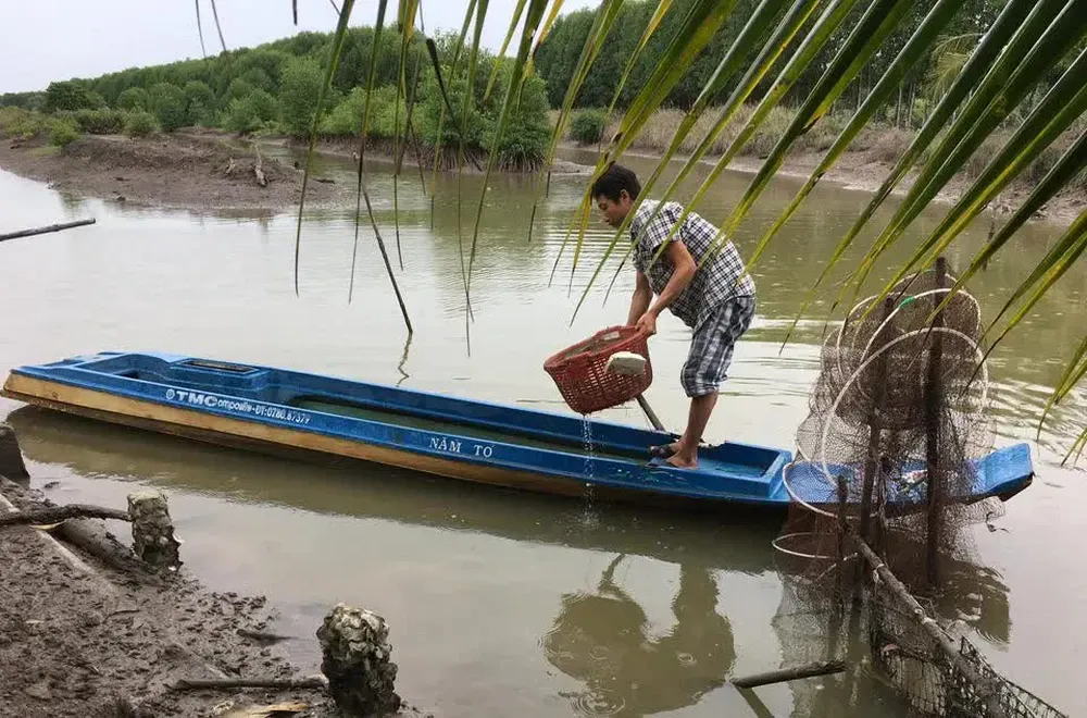 Tin vui từ nước Mỹ cho ngành hải sản Việt Nam