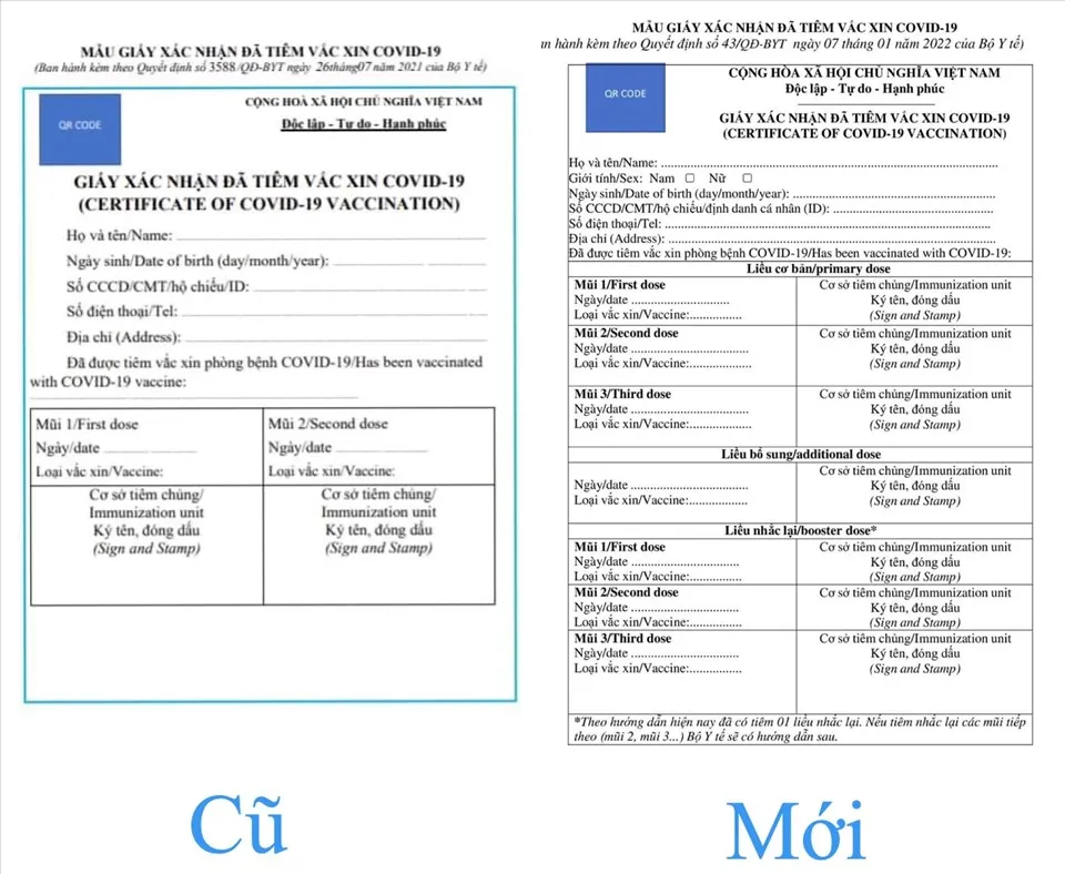 Vì sao mẫu giấy xác nhận tiêm vaccine Covid-19 có 7 mũi?