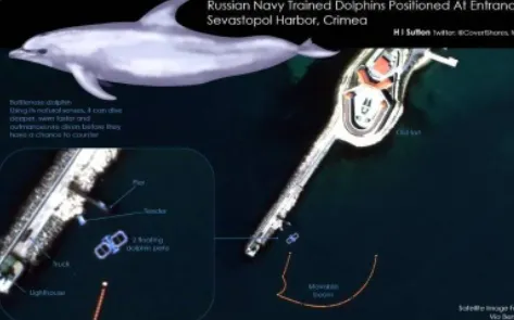 thumbnail - Ảnh vệ tinh cho thấy Nga dùng quân đội cá heo canh gác căn cứ Biển Đen
