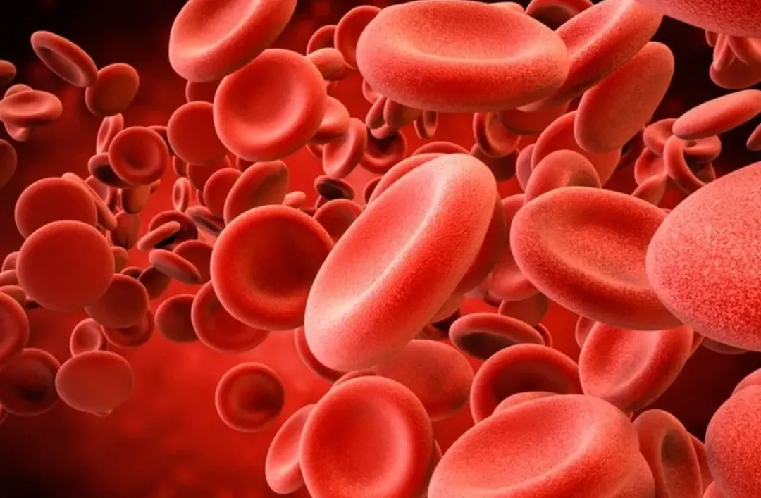 Tại sao máu có màu đỏ mà các tĩnh mạch lại có màu xanh lam?