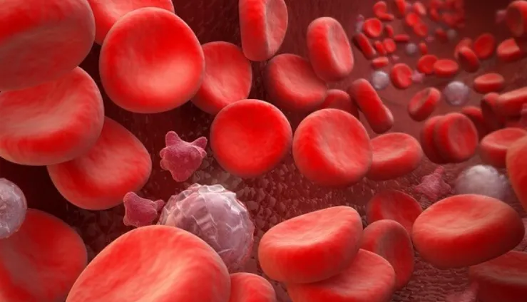 Khám phá ra nhóm máu hiếm mới có thể cứu sống hàng ngàn trẻ sơ sinh bị các vấn đề về máu bẩm sinh