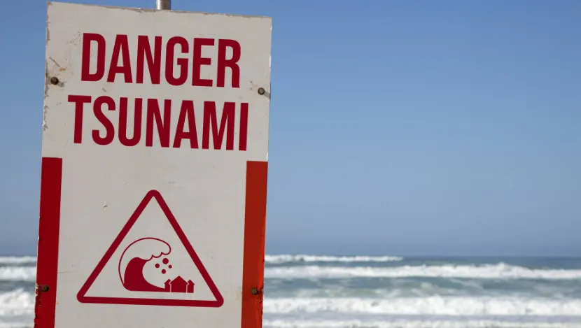 Trí tuệ nhân tạo lại tiếp tục gây sửng sốt: dự đoán tác động của sóng thần trong vòng chưa đầy 1 giây