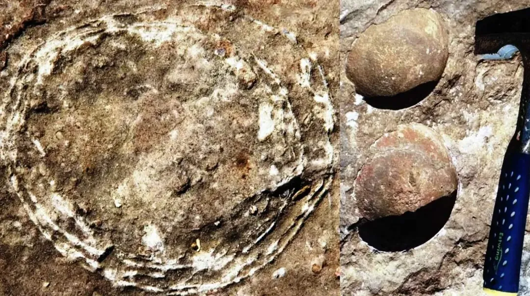 Phát hiện gần 100 quả trứng khủng long hóa thạch ở Ấn Độ và nhiều kiến thức con người chưa từng được biết đến