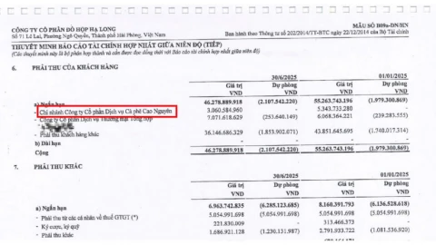 Báo cáo tài chính của Đồ hộp Hạ Long bị công khai, chuỗi cà phê phổ biến này lại là nơi nhập khẩu nhiều "pate lợn bệnh" nhất