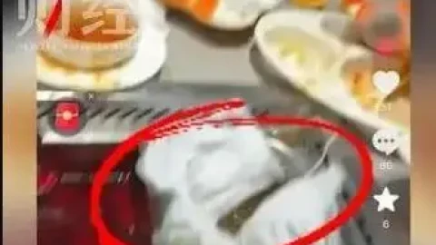 Đằng sau một chiếc tã ném vào nồi lẩu Haidilao