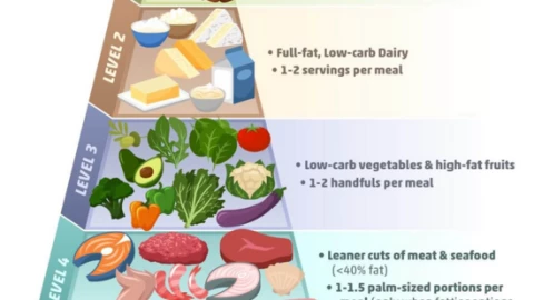 Hoa Kỳ công bố tháp dinh dưỡng mới, chất béo không còn là kẻ thù