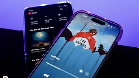 Đây là app nghe nhạc phổ biến nhất Việt Nam