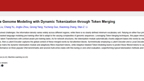 MergeDNA: AI giải mã "sách trời" DNA không dấu câu, mở ra kỷ nguyên y học cá nhân hóa