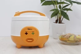 Mua nồi cơm điện mini cần quan tâm những tiêu chí gì nhất (ngoài giá)?