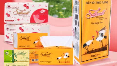 Giấy vệ sinh trắng tinh mỗi ngày có thể đang âm thầm đầu độc cơ thể bạn