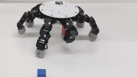 Bàn tay robot nhện tự bò: Phát minh đáng sợ nhưng hiệu quả hơn cả tay người