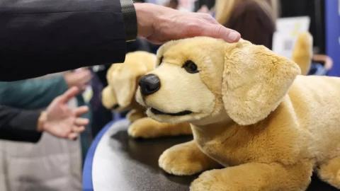 Thú cưng AI: Từ cơn sốt tỷ đô đến nguy cơ thành đồ trang trí biết nói