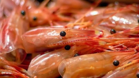 Bộ phận rất bẩn của tôm, ngon mấy cũng nên tránh ăn