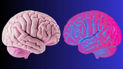 Các nhà khoa học vừa xác định một loại sóng đặc biệt trong sẽ quyết định giới hạn của 'bản thân bạn'