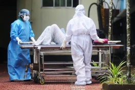 Thực phẩm hữu cơ có thể hàm chứa virus Nipah, người dân cần biết những gì để phòng tránh