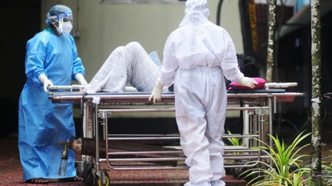 Thực phẩm hữu cơ có thể hàm chứa virus Nipah, người dân cần biết những gì để phòng tránh