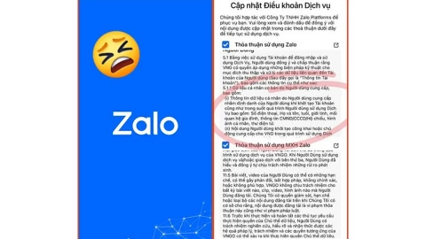 Zalo đã bị xử phạt 810 triệu, vậy người dùng lỡ ấn "Đồng ý" rồi thì phải làm gì