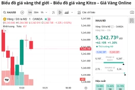 Giá vàng liên tục đạt mức cao kỷ lục, chuyên gia cảnh báo từ lịch sử