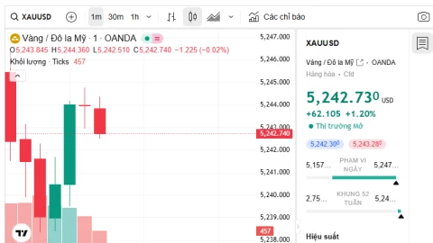 Giá vàng liên tục đạt mức cao kỷ lục, chuyên gia cảnh báo từ lịch sử