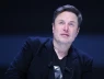 Musk gay gắt gọi Bộ trưởng Tài chính Ba Lan là "kẻ ngu ngốc chảy nước dãi"