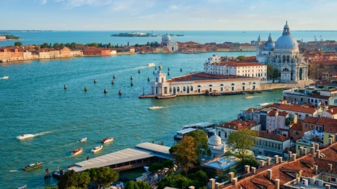 Thành phố nổi tiếng ở Châu Âu đang bị xâm chiếm bởi loài ăn thịt