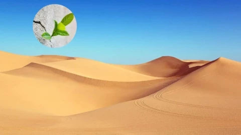 Bước ngoặt ngành xây dựng: Công nghệ biến cát sa mạc thành bê tông sinh học, giải bài toán khan hiếm vật liệu toàn cầu