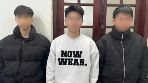 'Tết này con không về' vì mua bán hơn 8,4 tỷ email của người dùng trên thế giới