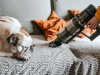 12 cách giảm ô nhiễm không khí trong nhà