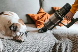 12 cách giảm ô nhiễm không khí trong nhà