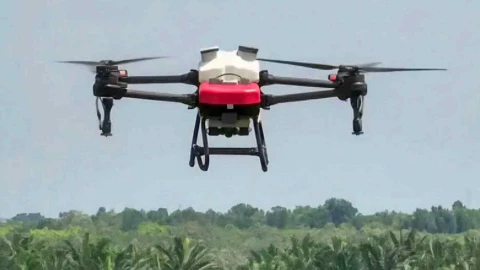 TP.Hồ Chí Minh thử nghiệm giao hàng bằng máy bay không người lái