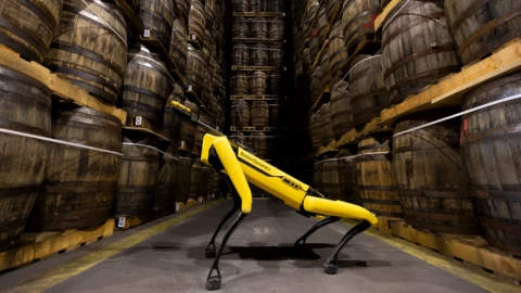 Chó robot đã đến làm việc ở kho rượu whisky lớn nhất thế giới