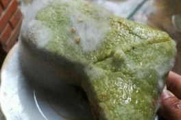 Bánh chưng bị mốc vỏ: Cắt bỏ phần mốc rồi rán lên ăn liệu có an toàn?