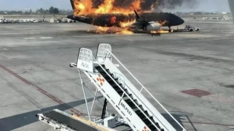 Các băng đảng ma túy Mexico mạnh đến mức nào? Cảnh sát có thể trấn áp chúng được không?