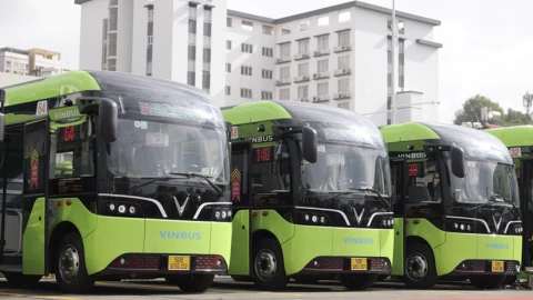 TP.HCM ra mắt 9 tuyến xe buýt thuần điện mới