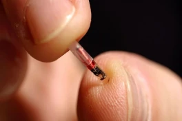 Washington ngăn chặn viễn cảnh khoa học viễn tưởng: Cấm cấy chip bắt buộc cho nhân viên
