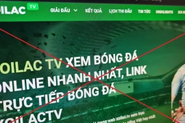 Khởi tố 30 bị can liên quan hệ thống phát lậu bóng đá Xôi Lạc TV