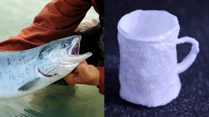 Chế tạo nhựa từ... tinh trùng cá hồi