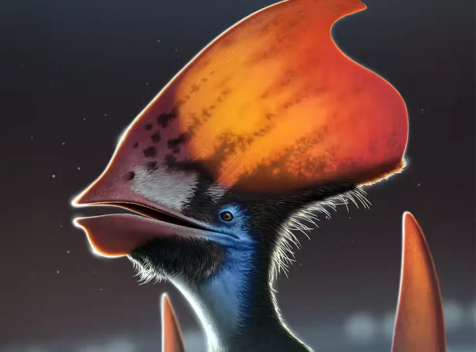 Loài bò sát bay cổ đại có thể tự đổi màu lông, tồn tại cùng thời với khủng long