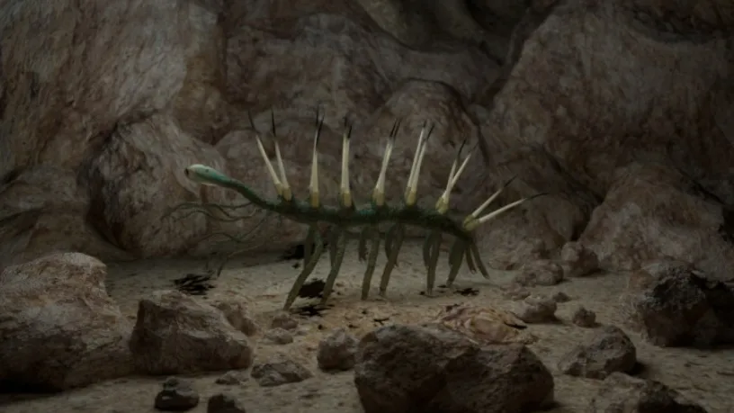 Những sinh vật kỳ lạ nhất từ Kỷ Cambri: bạn có thể không tin đây là những con vật thực sự