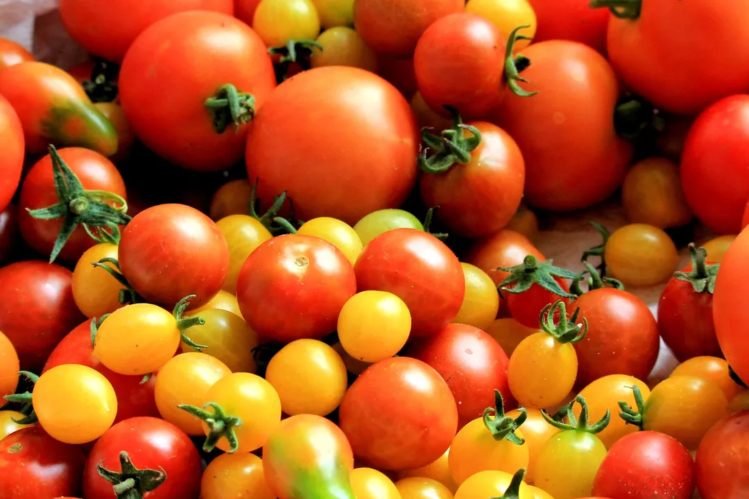 thumbnail - Cà chua chỉnh sửa gen có lượng vitamin D tăng cao đáng kể, tương lai thực phẩm là đây?